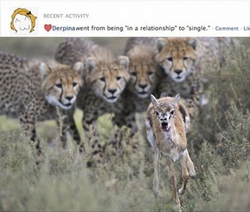 hornoxe.com_picdump282_057