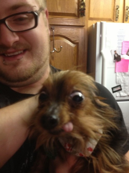 hornoxe.com_picdump282_066