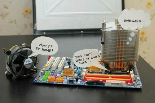 hornoxe.com_picdump282_069