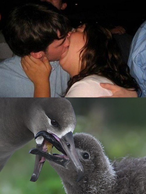 hornoxe.com_picdump282_074