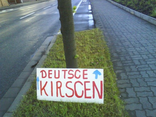 hornoxe.com_picdump282_092