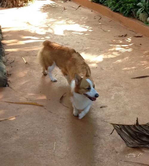 hornoxe.com_picdump282_103