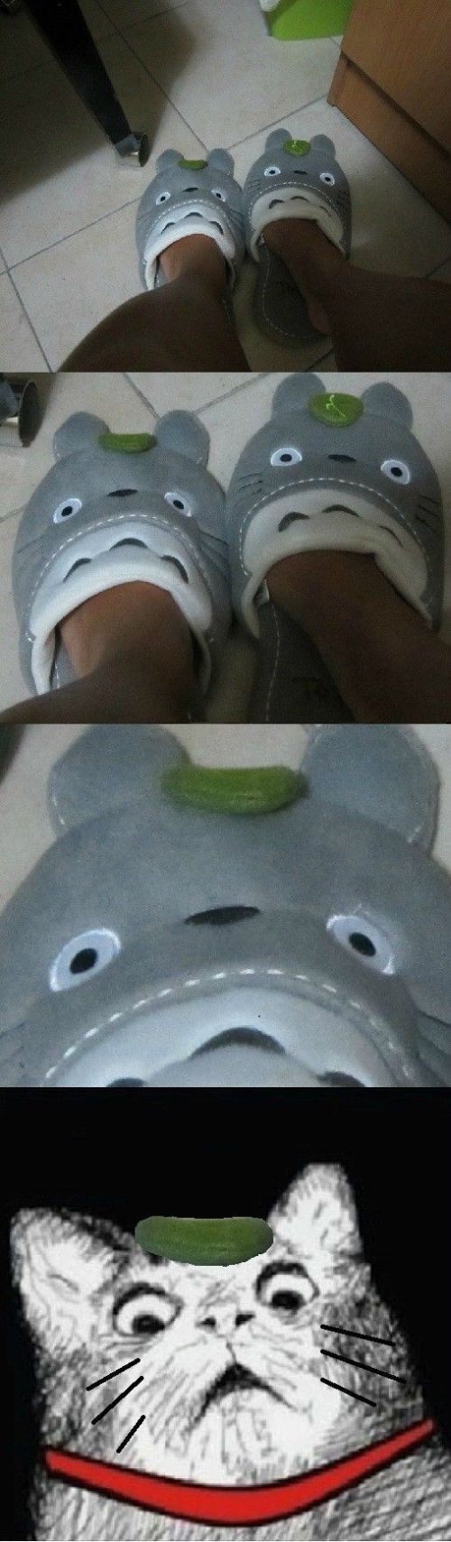 hornoxe.com_picdump282_118