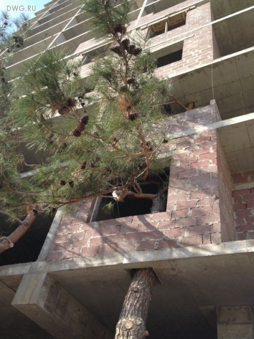 hornoxe.com_picdump282_125