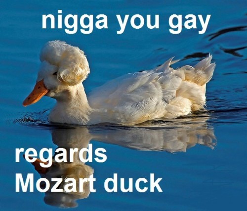 hornoxe.com_picdump282_129