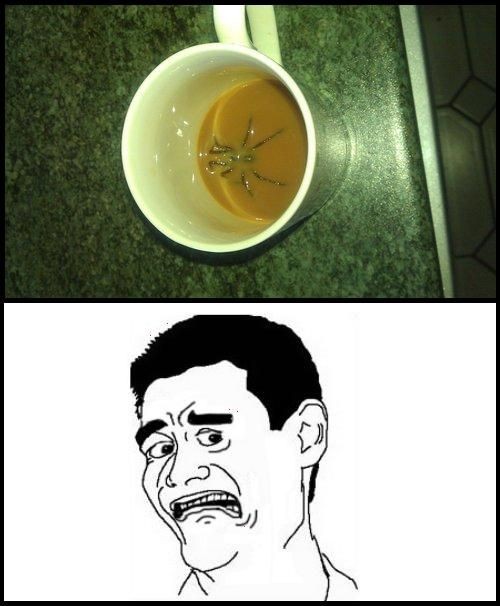 hornoxe.com_picdump282_132