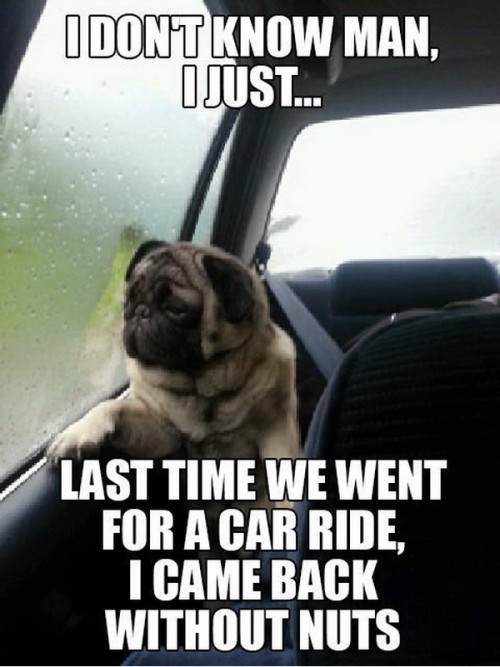 hornoxe.com_picdump282_135