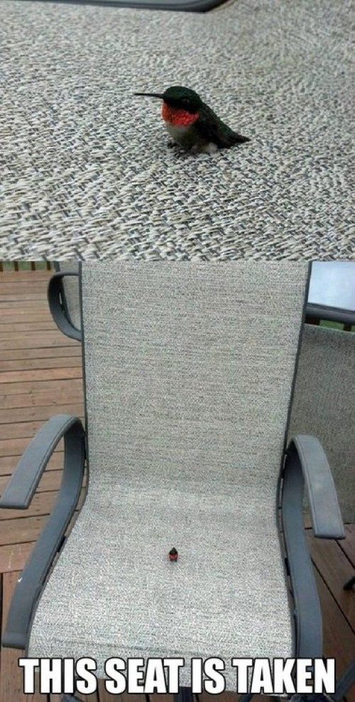 hornoxe.com_picdump282_145