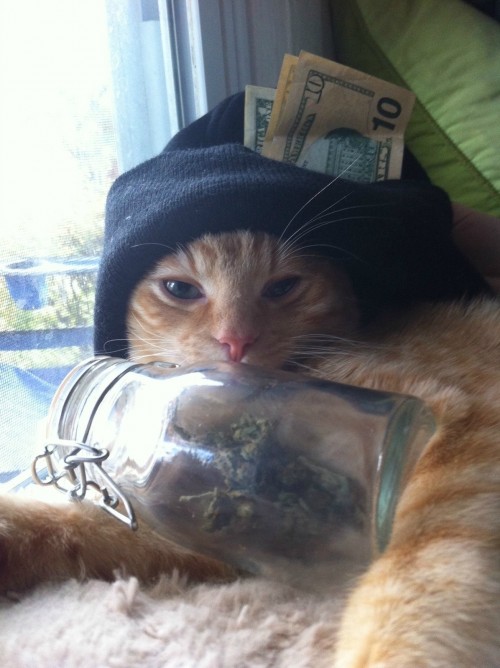 hornoxe.com_picdump282_146