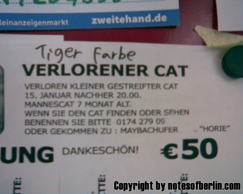 hornoxe.com_picdump282_148