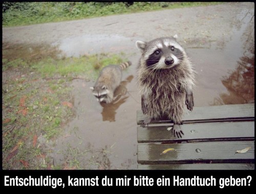 hornoxe.com_picdump283_013