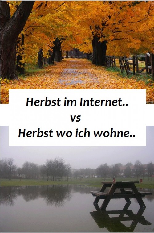 hornoxe.com_picdump283_017