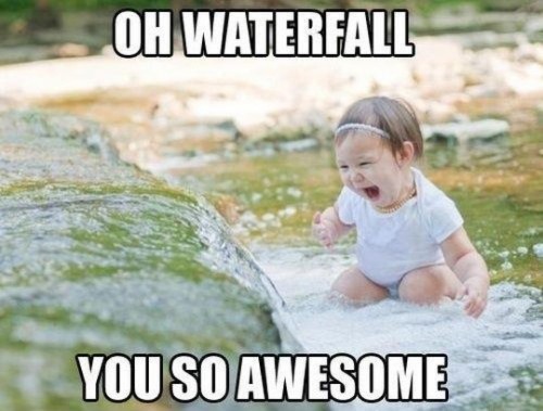 hornoxe.com_picdump283_031