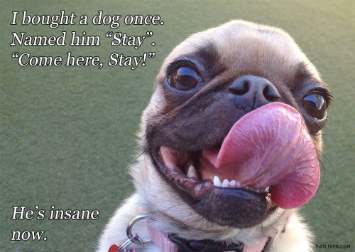 hornoxe.com_picdump283_038