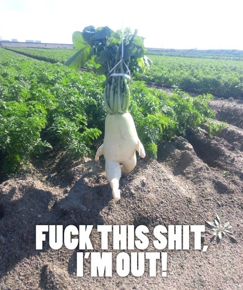 hornoxe.com_picdump283_040