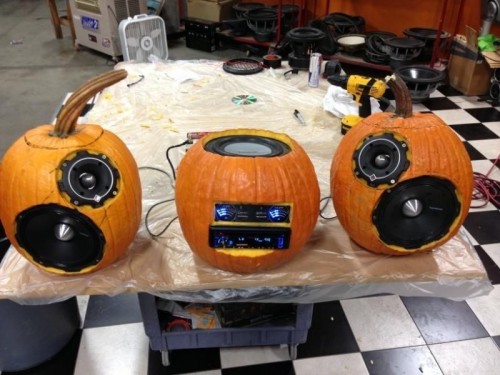 hornoxe.com_picdump283_074