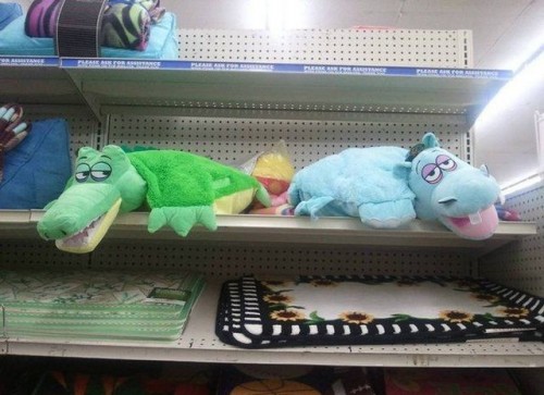 hornoxe.com_picdump283_089