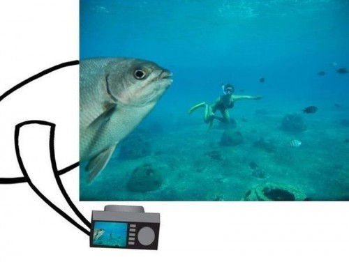 hornoxe.com_picdump283_152