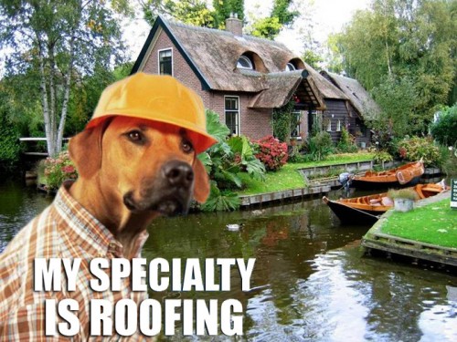 hornoxe.com_picdump283_161