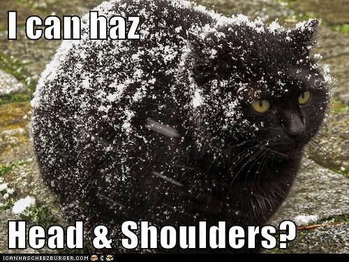 hornoxe.com_picdump283_174