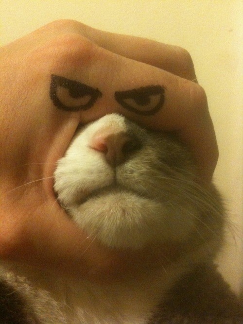 hornoxe.com_picdump283_175