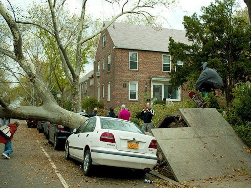 hornoxe.com_picdump284_046