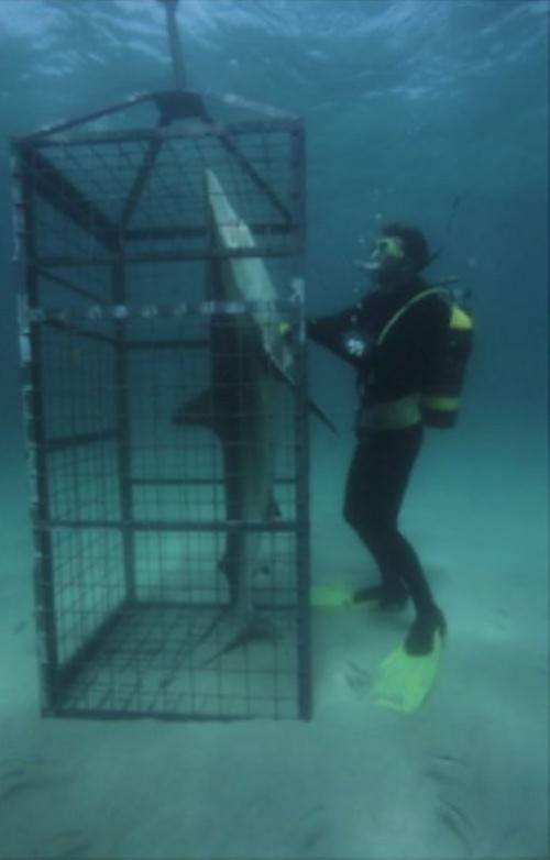 hornoxe.com_picdump284_121