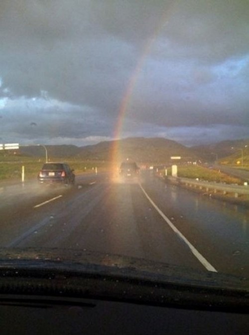 hornoxe.com_picdump284_149