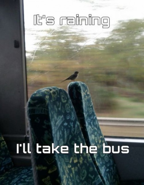 hornoxe.com_picdump284_203