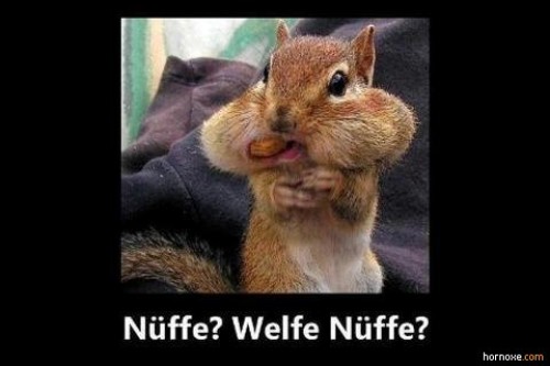 hornoxe.com_picdump285_001