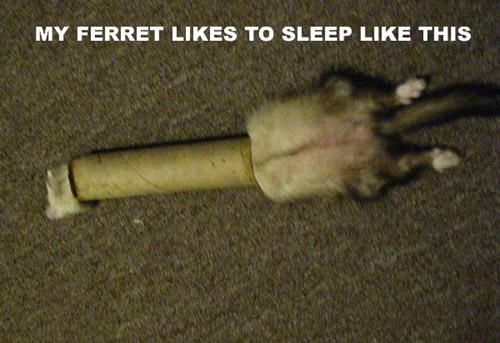 hornoxe.com_picdump285_047