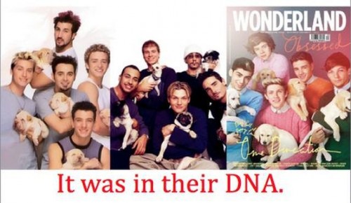 hornoxe.com_picdump285_122