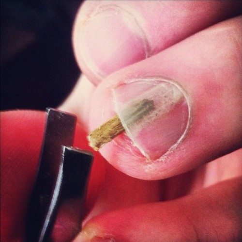 hornoxe.com_picdump285_124