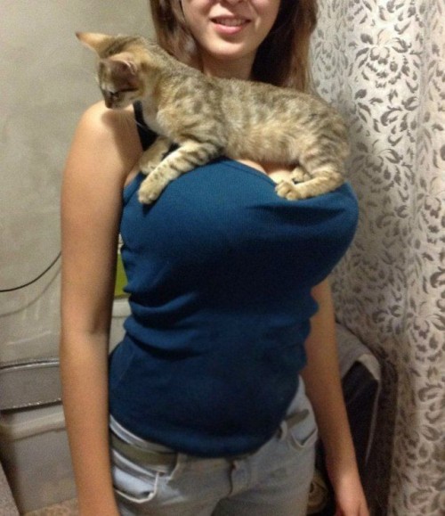 hornoxe.com_picdump285_125