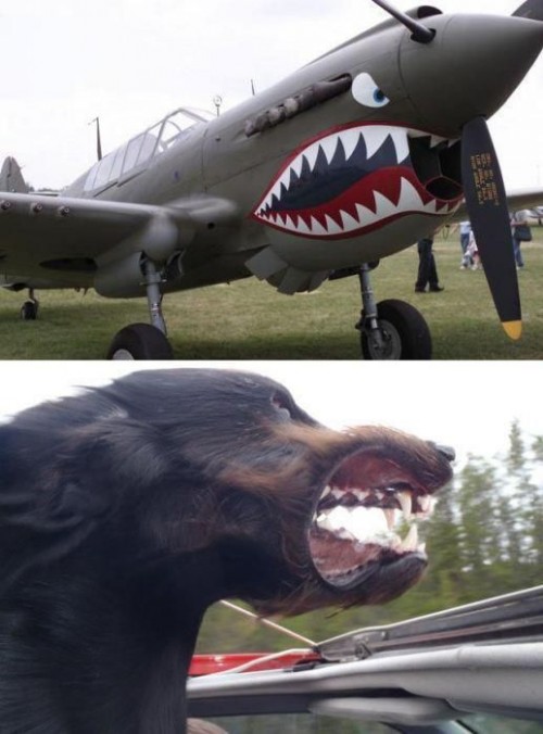 hornoxe.com_picdump285_131