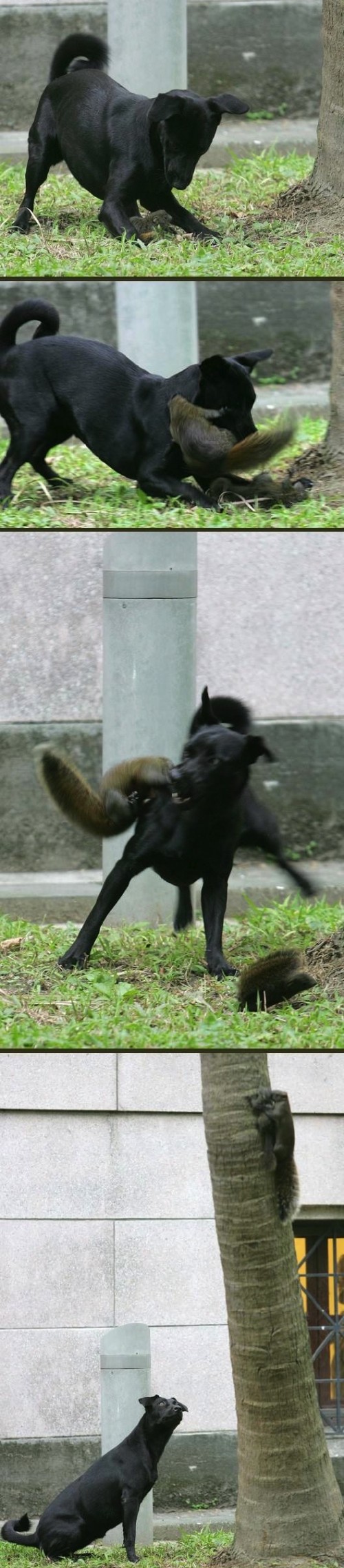 hornoxe.com_picdump285_152