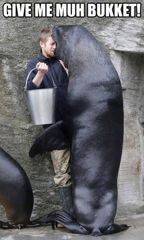 hornoxe.com_picdump285_165