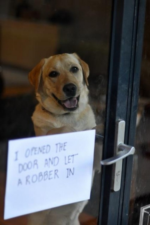 hornoxe.com_picdump285_184