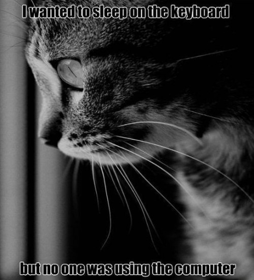 hornoxe.com_picdump287_048