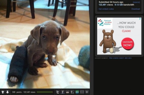 hornoxe.com_picdump287_068