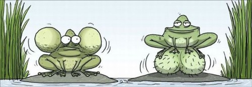 hornoxe.com_picdump287_069