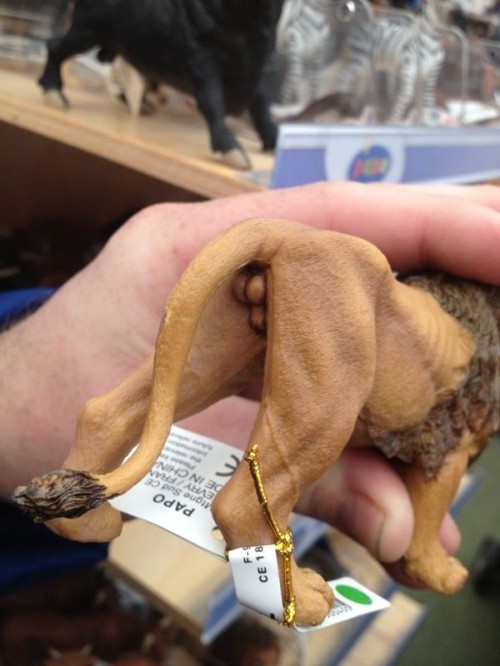 hornoxe.com_picdump287_087