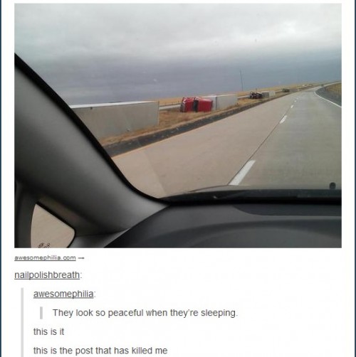 hornoxe.com_picdump287_107