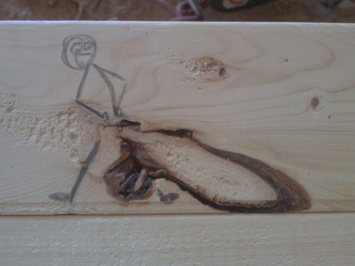 hornoxe.com_picdump287_148