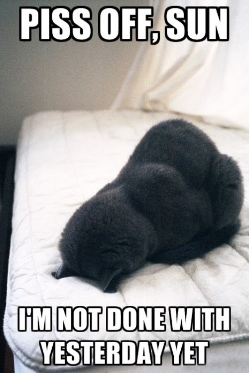 hornoxe.com_picdump287_164