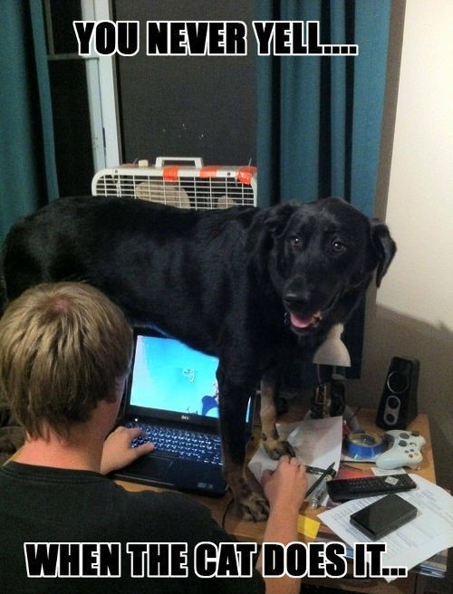 hornoxe.com_picdump287_174