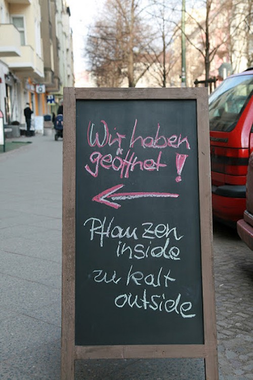 hornoxe.com_picdump287_176