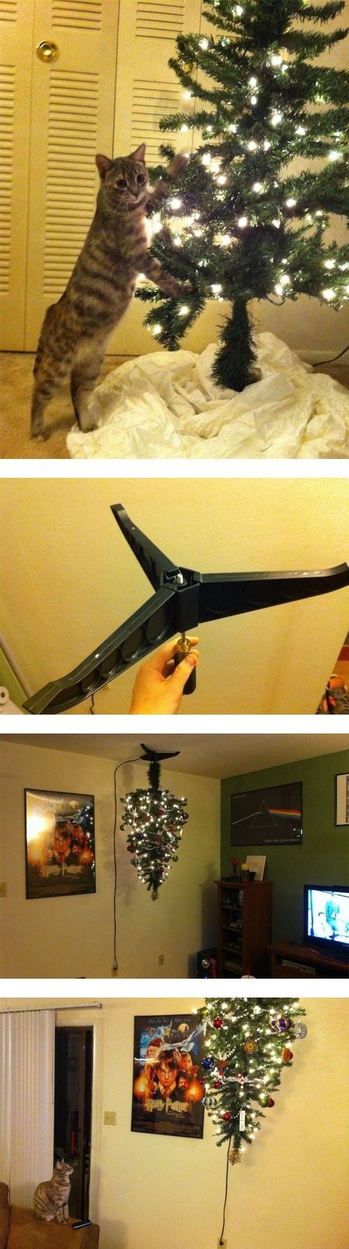 hornoxe.com_picdump289_018