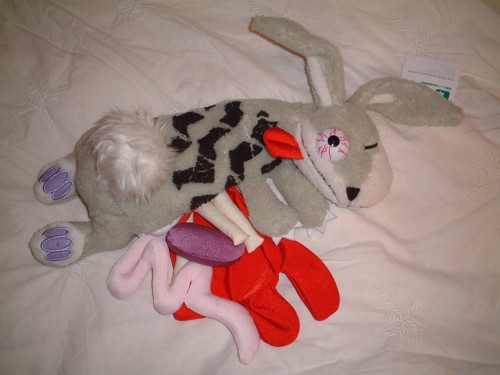 hornoxe.com_picdump289_025