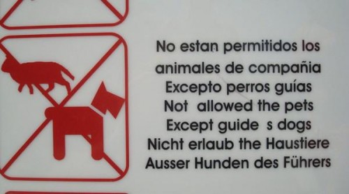 hornoxe.com_picdump289_048